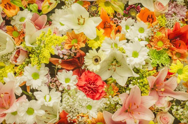 Thumbnail for original image