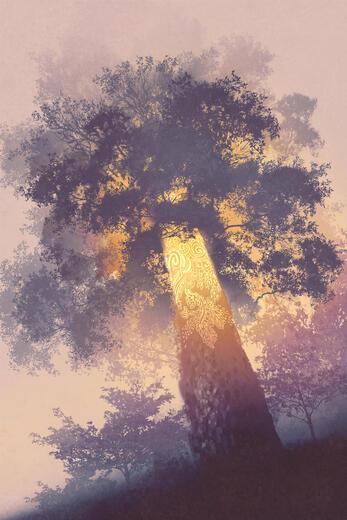 Thumbnail for original image