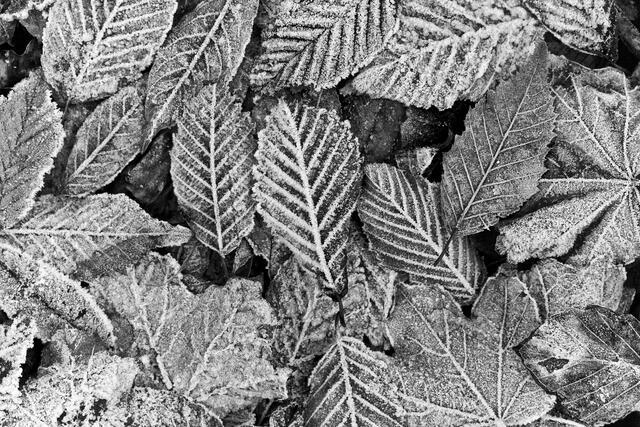 Thumbnail for original image