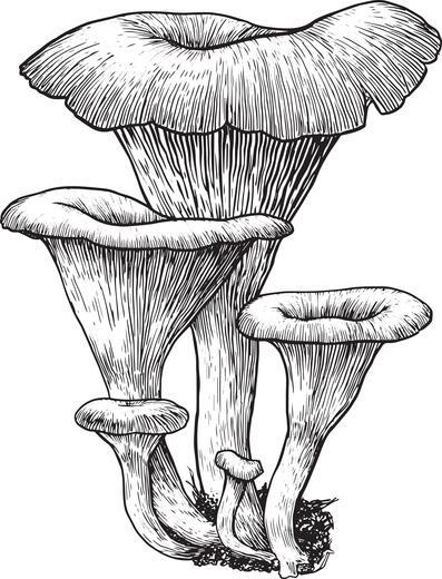 Thumbnail for original image