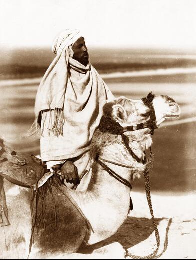 Thumbnail for original image