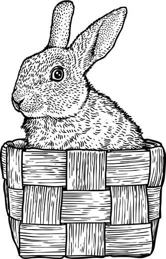 Thumbnail for original image
