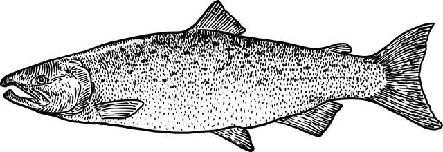 Thumbnail for original image