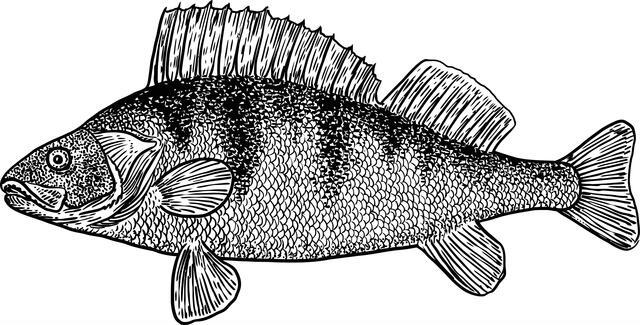 Thumbnail for original image
