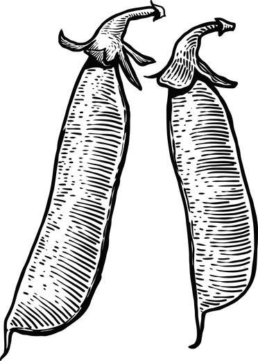 Thumbnail for original image