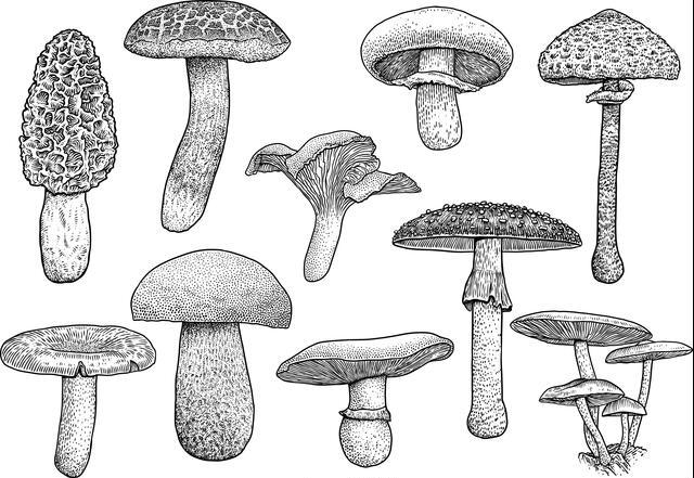 Thumbnail for original image