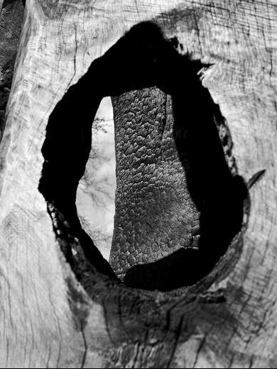 Thumbnail for original image