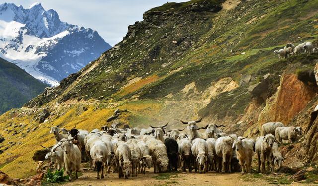 Thumbnail for original image