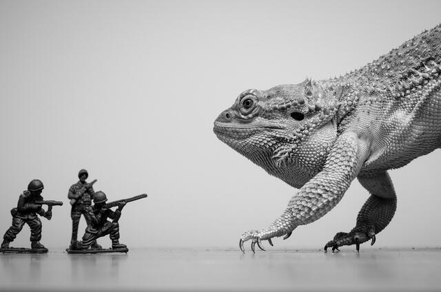 Thumbnail for original image