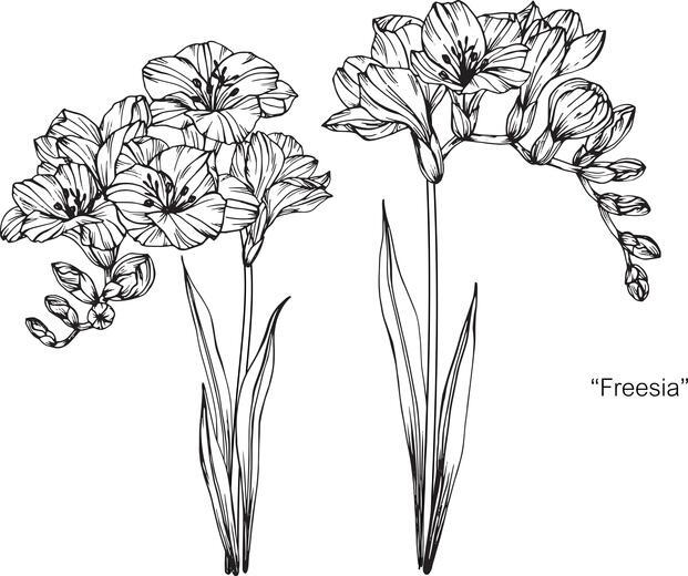 Thumbnail for original image