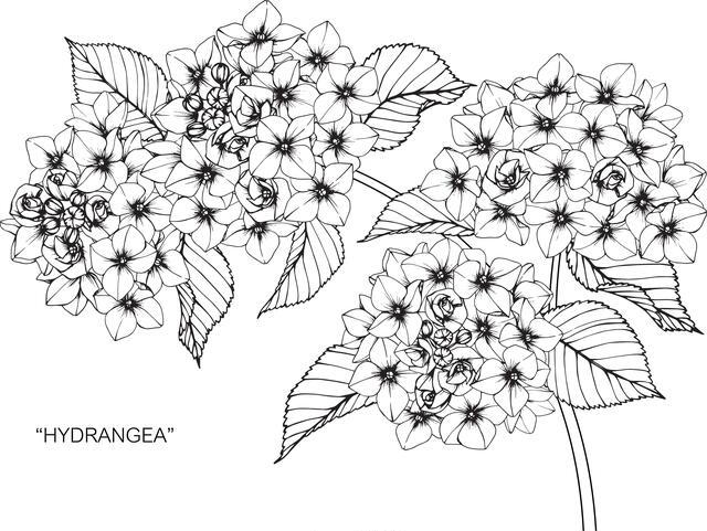 Thumbnail for original image