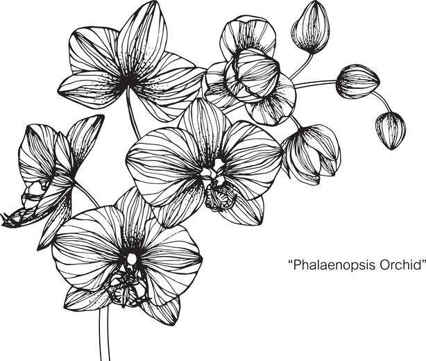 Thumbnail for original image