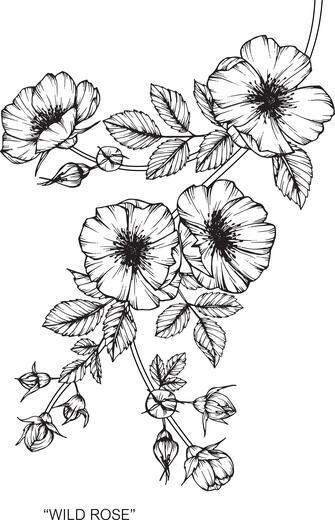 Thumbnail for original image