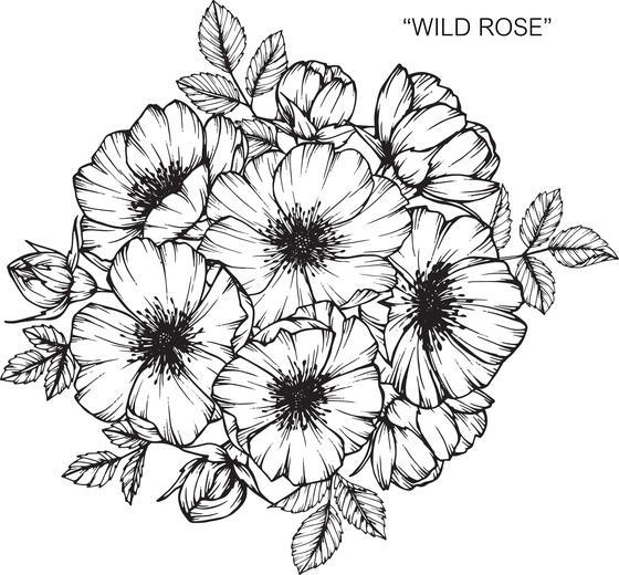 Thumbnail for original image