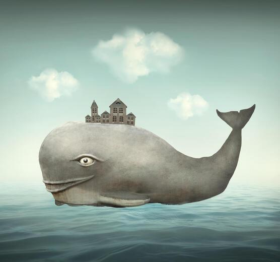 Thumbnail for original image