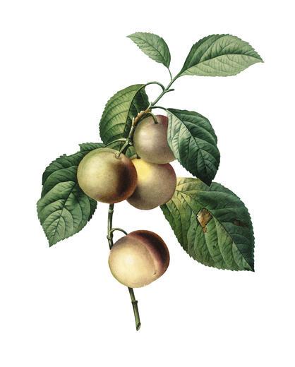 Thumbnail for original image