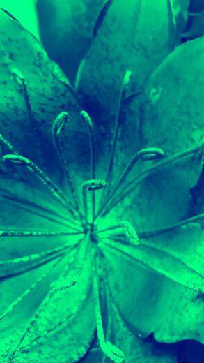Thumbnail for original image