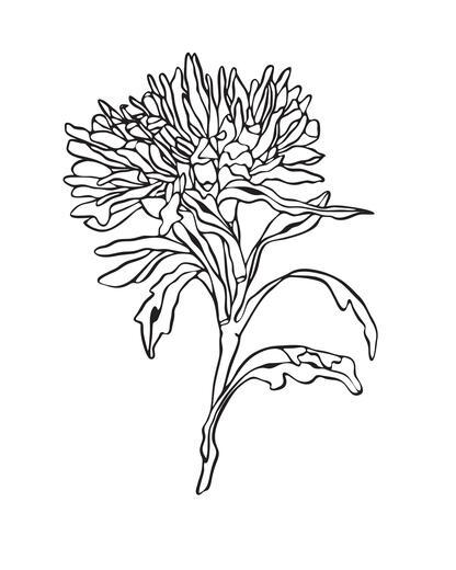 Thumbnail for original image