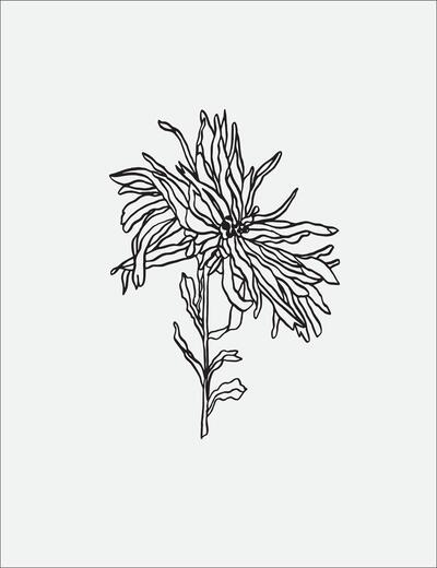 Thumbnail for original image