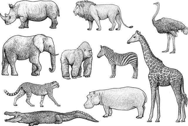 Thumbnail for original image