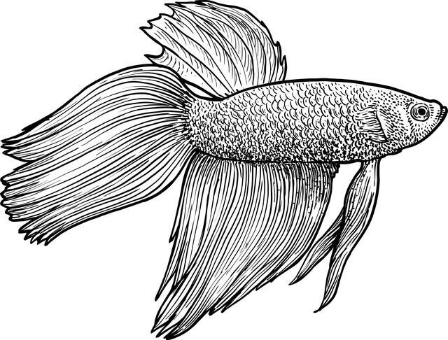 Thumbnail for original image