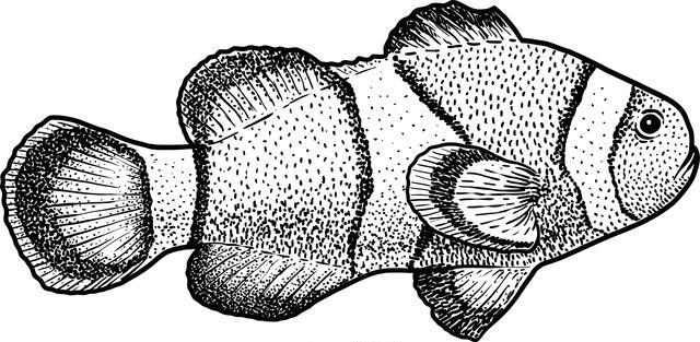 Thumbnail for original image