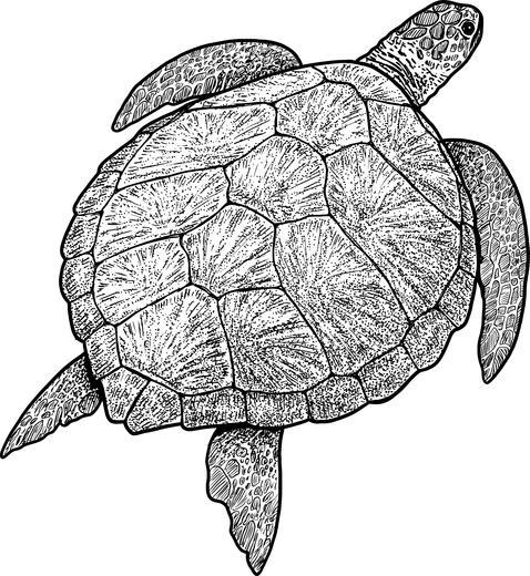 Thumbnail for original image