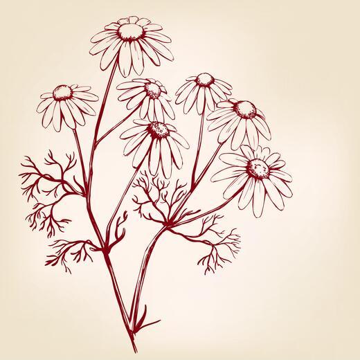 Thumbnail for original image