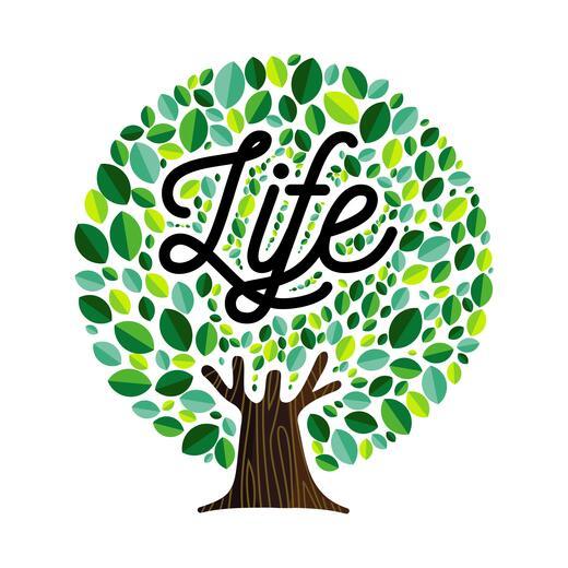 Thumbnail for original image