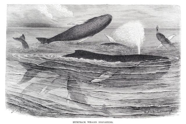 Thumbnail for original image