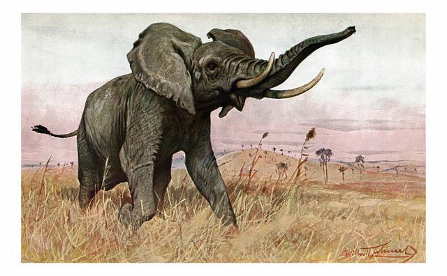 Thumbnail for original image