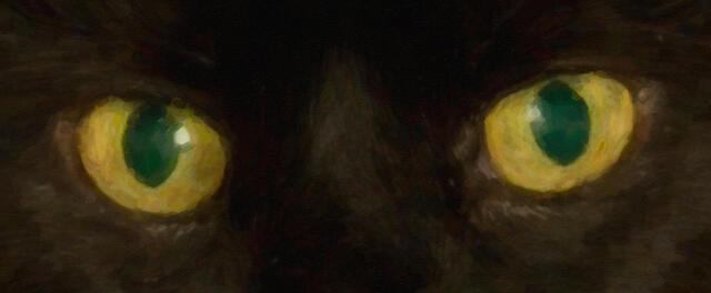 Thumbnail for original image