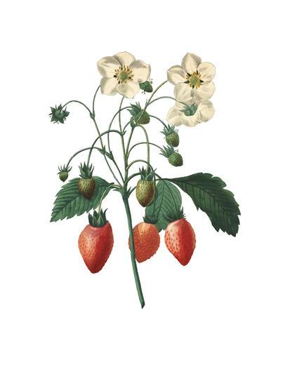 Thumbnail for original image