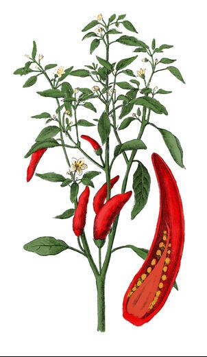 Thumbnail for original image