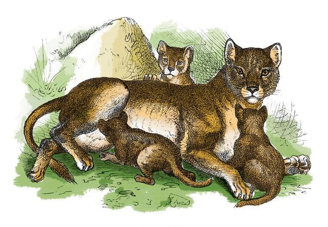 Thumbnail for original image