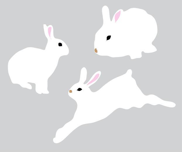 Thumbnail for original image