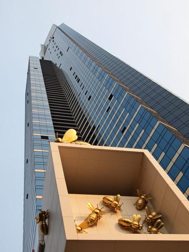 Thumbnail for original image