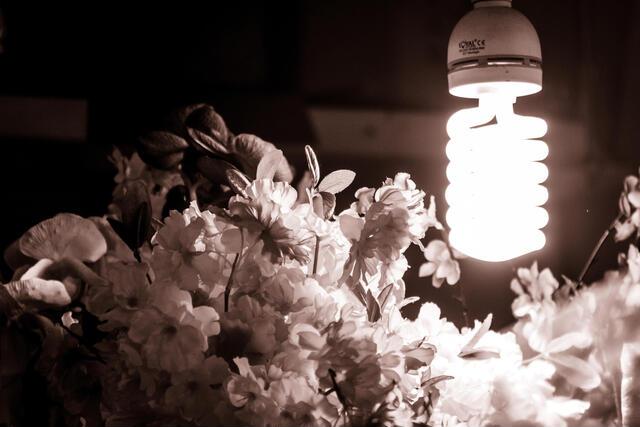 Thumbnail for original image