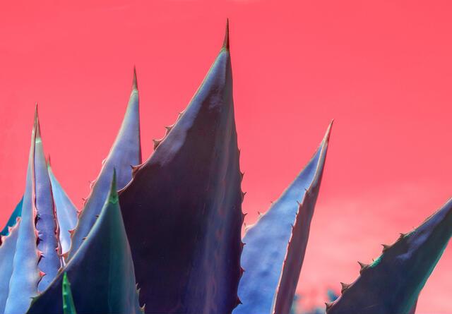 Thumbnail for original image