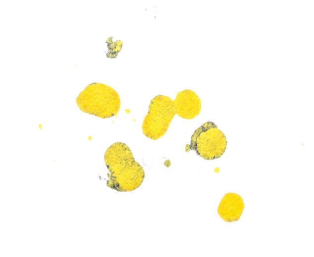 Thumbnail for original image