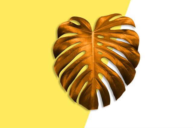 Thumbnail for original image