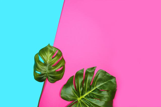 Thumbnail for original image