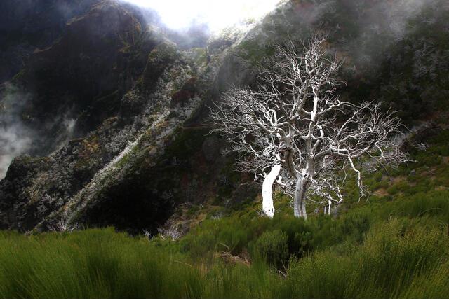 Thumbnail for original image