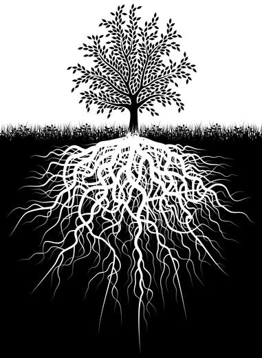 Thumbnail for original image