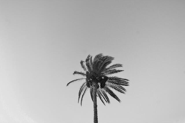 Thumbnail for original image
