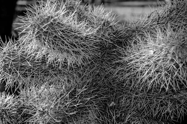 Thumbnail for original image
