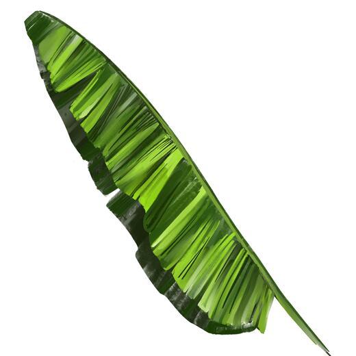 Thumbnail for original image