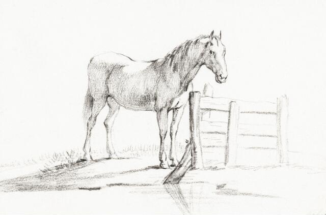Thumbnail for original image