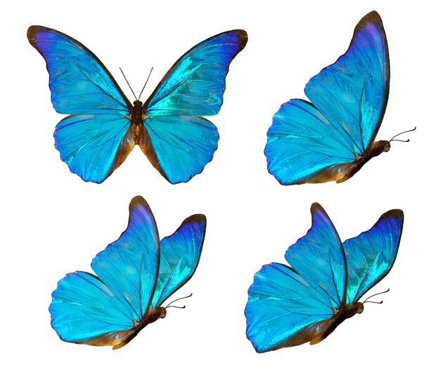 Thumbnail for original image