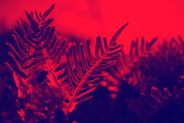 Thumbnail for original image